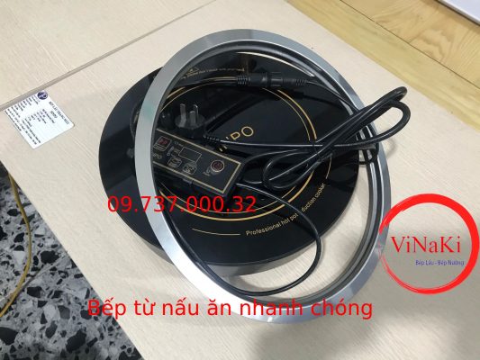 bếp từ nấu ăn nhanh chóng 