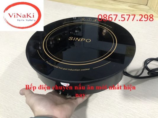 Bếp điện chuyên nấu ăn mới nhất hiện nay