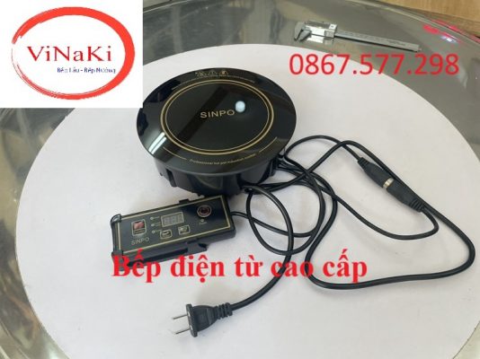 Bếp điện từ cao cấp
