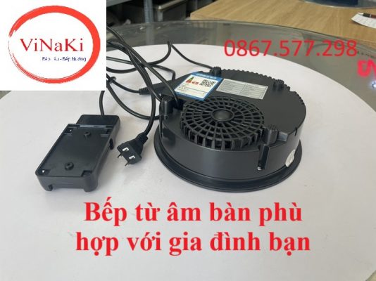 Bếp từ âm bàn phù hợp với gia đình bạn